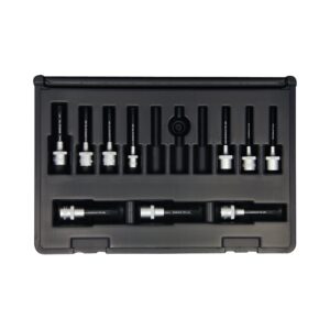 Bondhus 31038, Set 10 ProHold Torx Bits 2" (T10-T55) w/Sockets in Molded Black Case